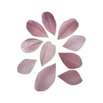 Peří střižené starorůžové 5-6cm 36ks