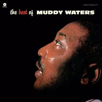 Zahraniční hudba Muddy Waters - Best Of Muddy Waters (Edice 2018) – 180 gr. Vinyl (LP, 772240)