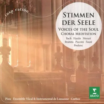 Zahraniční hudba Michel Corboz - Choral Meditation, Stimmen Der Seele (CD, 2564649000/M)