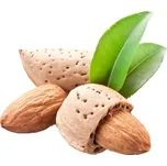 ASO - Zdravý život Mandle Bio Hmotnost: 1kg