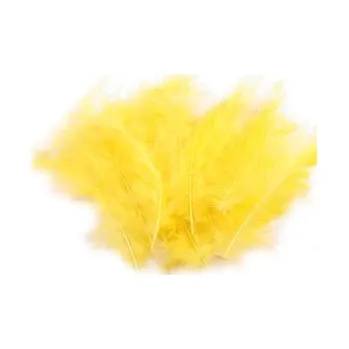 Peříčka 20 ks žlutá