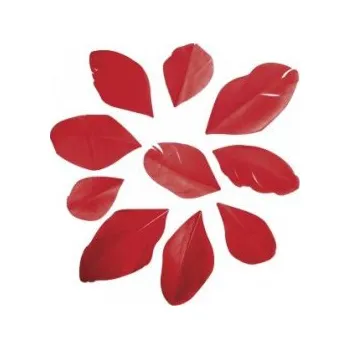 Peří střižené červené 5-6cm 36ks