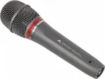 Audio Technica AE6100