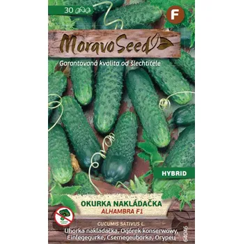 Semeno Moravoseed Okurka nakládačka Alhambra F1 30 ks
