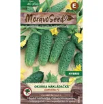 Moravoseed Okurka nakládačka Corveta F1…