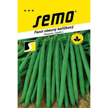 Semeno SEMO Fazol keříčkový zelený Bolero 20 g