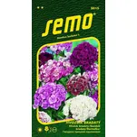 SEMO Hvozdík bradatý směs 0,5 g