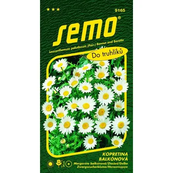 Semeno SEMO Kopretina balkonová Sněhurka 0,3 g 