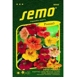 SEMO Lichořeřišnice větší Grande pnoucí…