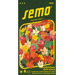 SEMO Lichořeřišnice větší Tom Pouce…