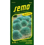 SEMO Kostřava modrá Varna 0,4 g 