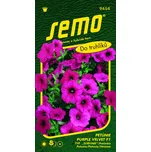 SEMO Petunie převislá Purple Velvet F1…