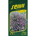 SEMO Lobelka drobná Lila světle fialová…