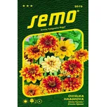 SEMO Ostálka Haageova směs 0,7 g