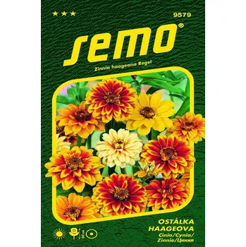 Semeno SEMO Ostálka Haageova směs 0,7 g