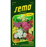 SEMO Řebříček obecný Summer Pastels 0,1…