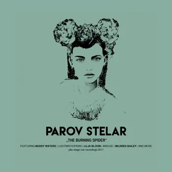 Zahraniční hudba The Burning Spider - Parov Stelar [2LP]