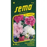 SEMO Petunie mnohokvětá Duo Double F1…