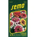 SEMO Ostálka lepá Caroussel dvoubarevná…