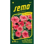 SEMO Petunie Velvet Salmon Shades F1 10…