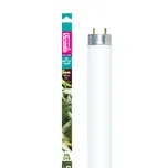 Arcadia D3 Forest Reptile Lamp T8 14 W