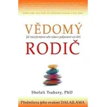 Vědomý rodič: Jak transformovat sebe…