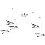 Globo Bird Gl-56670-5H