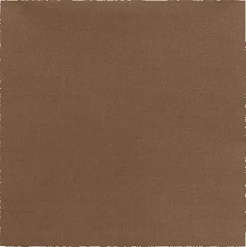 Šátek Šátek Solid Bandanas Coyote Brown Rothco (Šátek Solid Bandanas Coyote Brown Rothco)