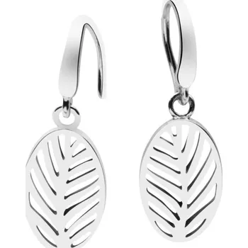 Náušnice Náušnice Silvertrends ST1498