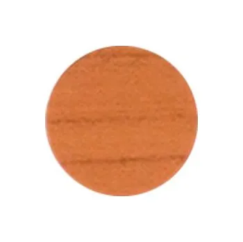 Vrut Krytka samolepicí 13mm 20ks - olše 277plr2