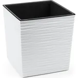 Nohel Garden Juka Proutí 40 cm bílý