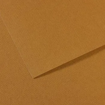 Výtvarný papír Canson Pastelový papír 160g - č.336 Khaki světlá Velikost: A4