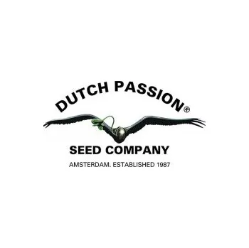 Semeno Dutch Passion Skunk #1 reg. Počet ks Regular: 10