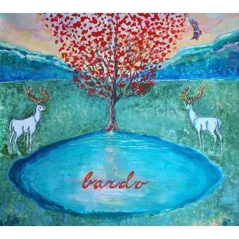 Zahraniční hudba Sisa Fehér & Vladko Mikláš - Bardo (Digipack, 2018) (CD, SZ0101)