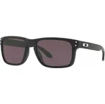 Oakley Holbroook Matte Black/Prizm Grey