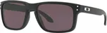 Oakley Holbroook Matte Black/Prizm Grey