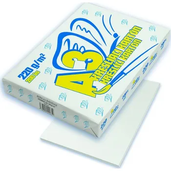 Výtvarný papír Notes Kreslící karton A2 220g 100 ks