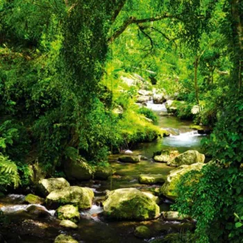 Fototapeta Recenze Dimex L-534 220 x 220 cm