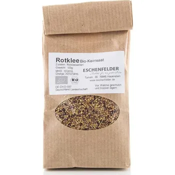 Semeno Jetel luční BIO semena na klíčení 100 g + Bio semena jetele lučního vhodná ke snadnému domácímu klíčení.