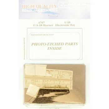 Plastikový model 1/48 F/A-18 Hornet electronic bay (KIN)