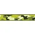Postroj pro psa Red Dingo Camouflage Green