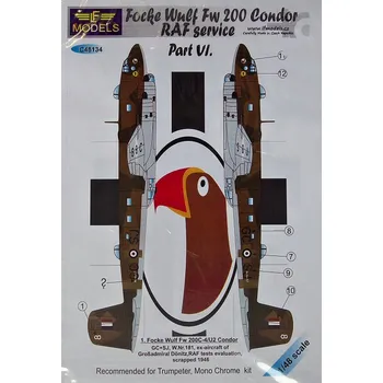 Plastikový model 1/48 Decals Focke Wulf Fw 200 Condor (TRUMP) VI.