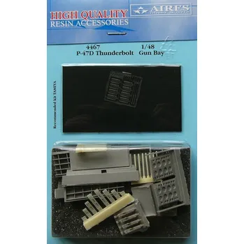 Plastikový model 1/48 P-47 Thunderbolt gun bay (TAM)