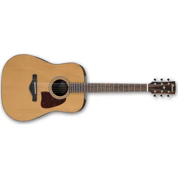 Akustická kytara Ibanez AVD9-NT