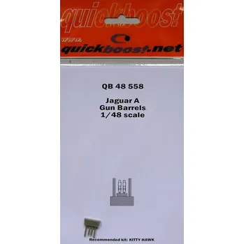 Plastikový model 1/48 Jaguar A gun barrels (KITTYH)