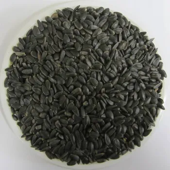 Pro ptáka AGRI Slatinice MoravoSeed slunečnice černá - 3 kg