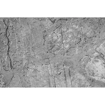 Fototapeta DIMEX MS-5-0173 375 x 250 cm