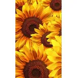 DIMEX MS-2-0129 250 x 150 cm