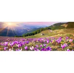 Dimex MP-2-0064 375 x 150 cm