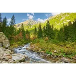 Dimex MS-5-0077 375 x 250 cm